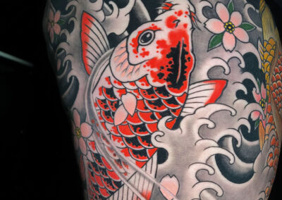Japanese traditional tattoo of red and black koi in water with pink cherry blossoms