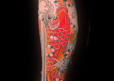 Japanese traditional tattoo of orange koi fish in water with pink cherry blossoms
