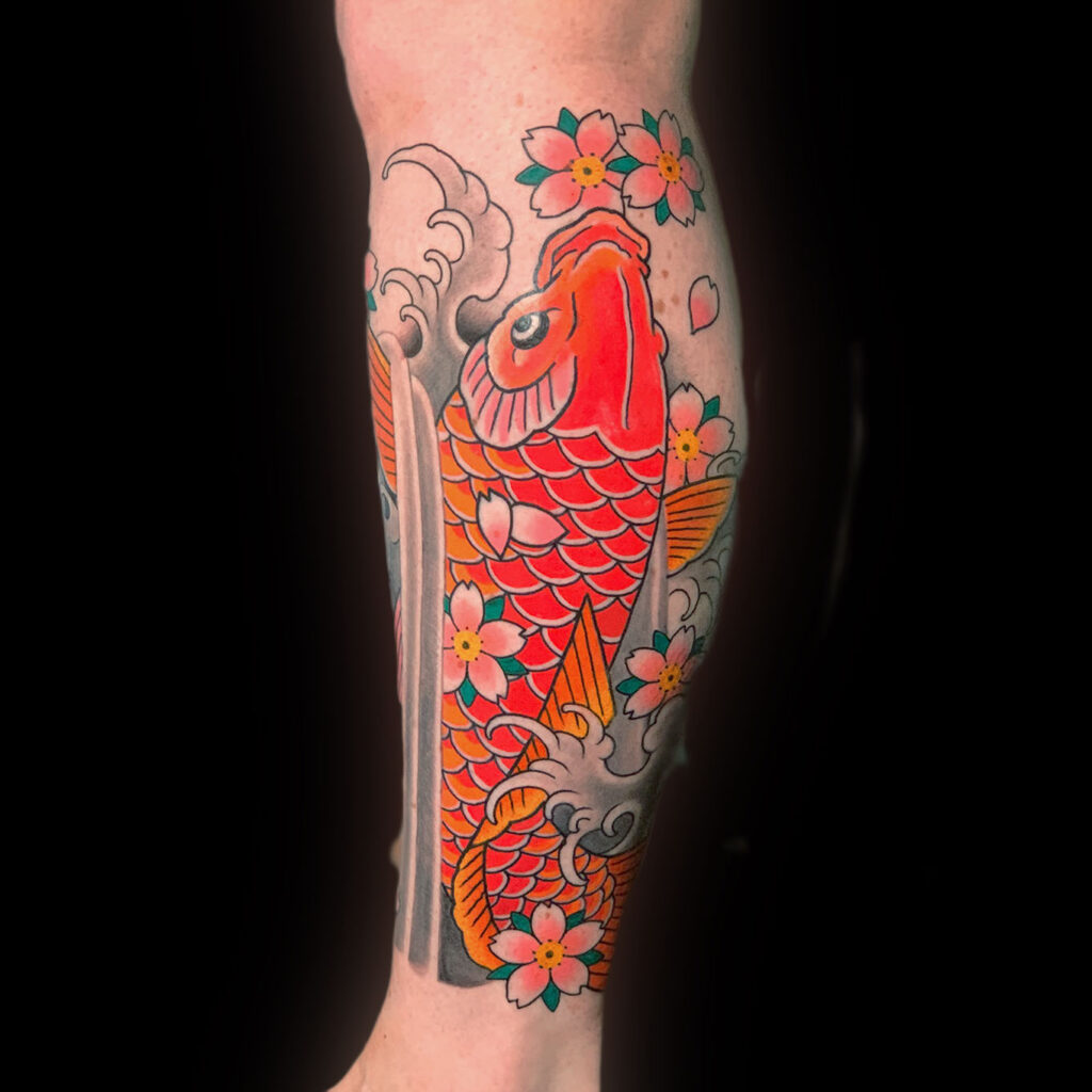 Japanese Traditional red koi fish with pink cherry blossoms and water