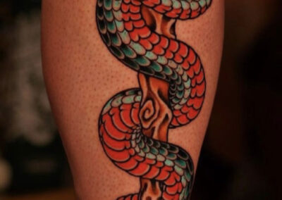Japanese Traditional tattoo of open mouth snake