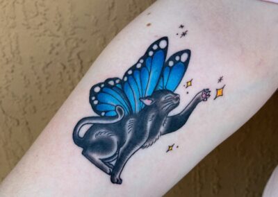 black cat with blue butterfly wings