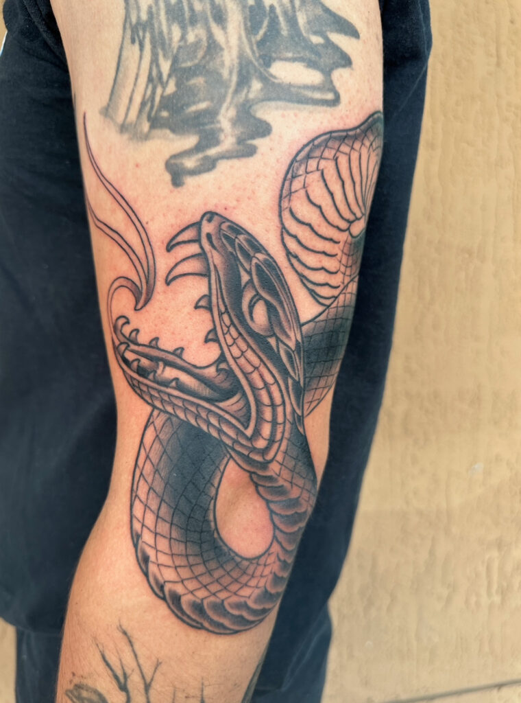 Japanese traditional black and gray open mouth snake tattoo