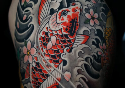 Traditional Japanese tattoo of red koi and pink cherry blossoms